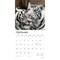White Tigers | 2026 12 x 24 Inch (Hanging) Monthly Square Wall Calendar | Plastic-Free